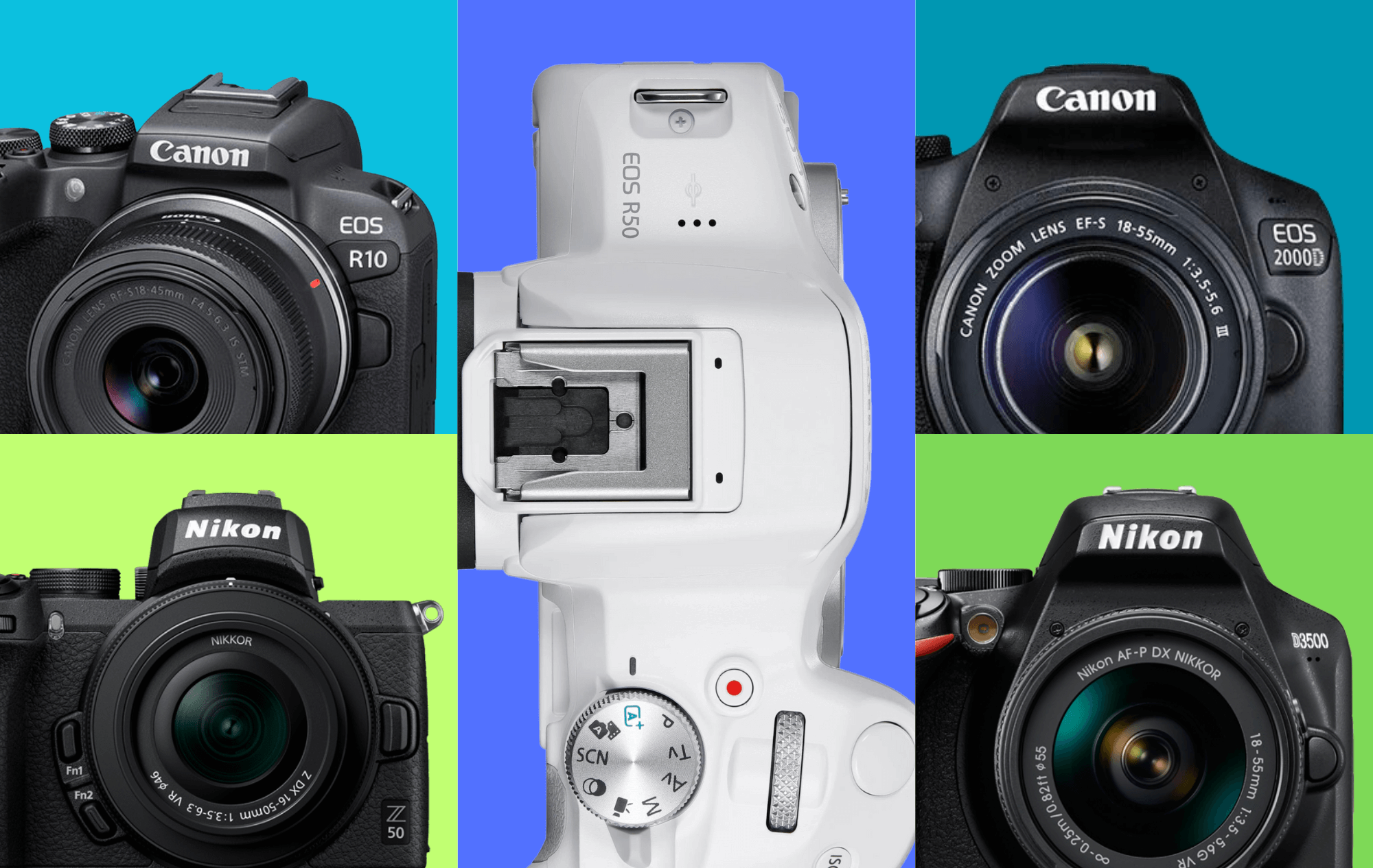 Top 5 Beginner-Friendly Cameras: Your Perfect Gateway to Photography in 2024