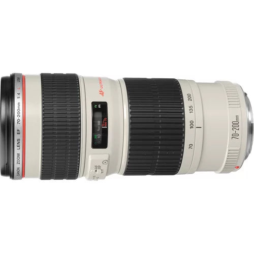 Canon EF 70-200mm F4 L USM (non IS) Skins