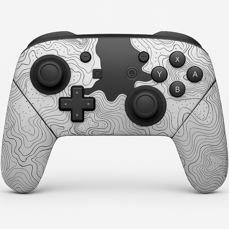 Nintendo Switch 2 Pro Controller Skins