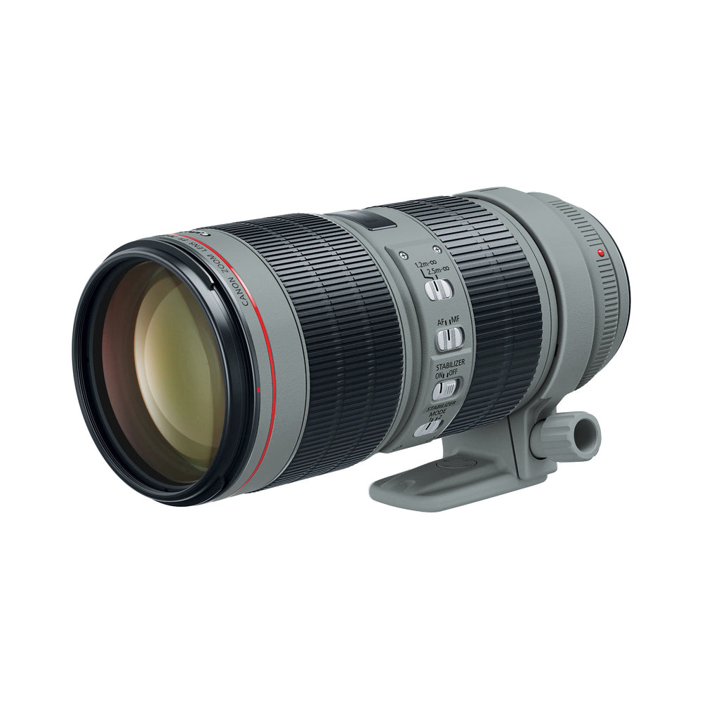 Canon EF 70-200mm F2.8 L IS II, IS III USM Skins