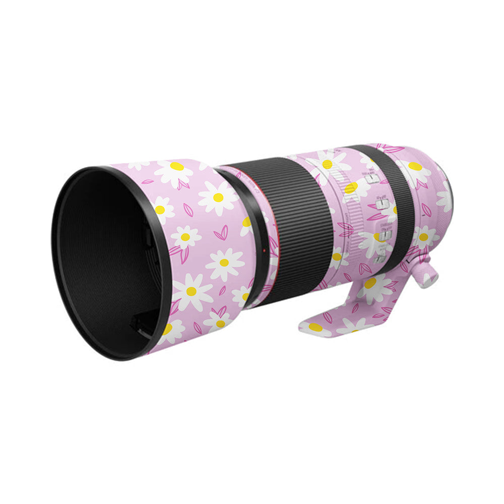 Canon RF 100-500mm f4.5-7.1 L IS USM Skins