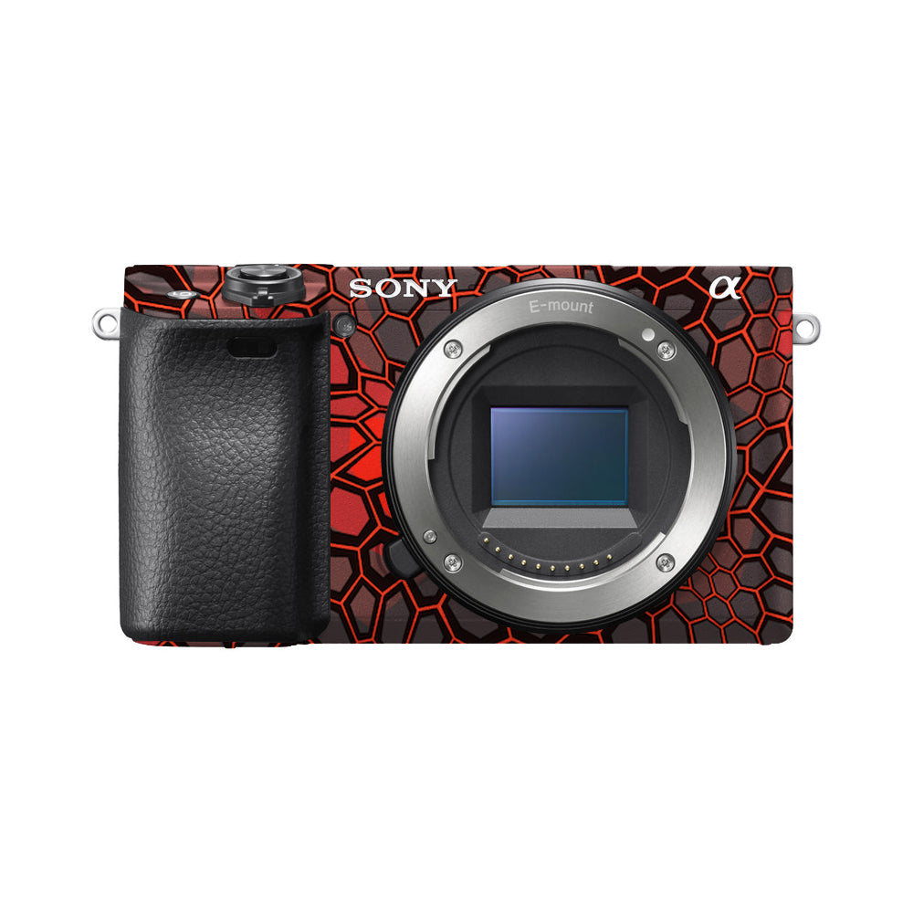 Sony A6000 Skins