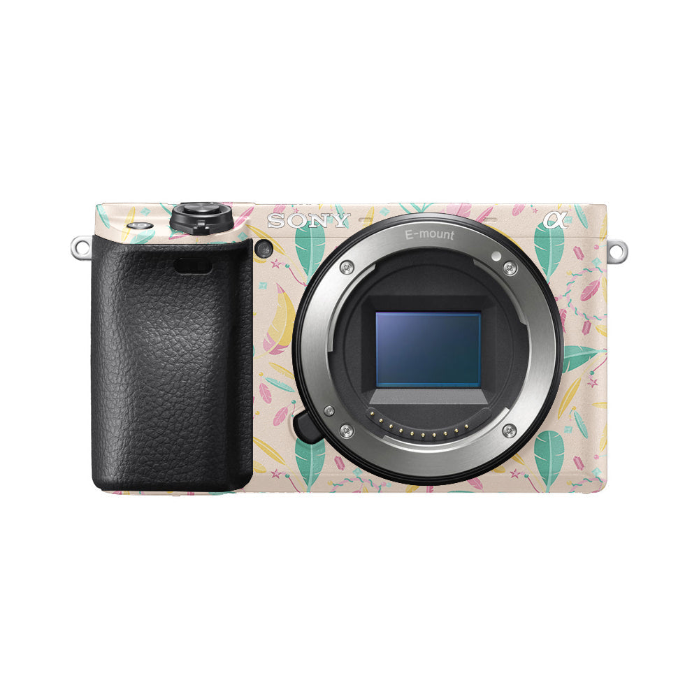 Sony A6000 Skins