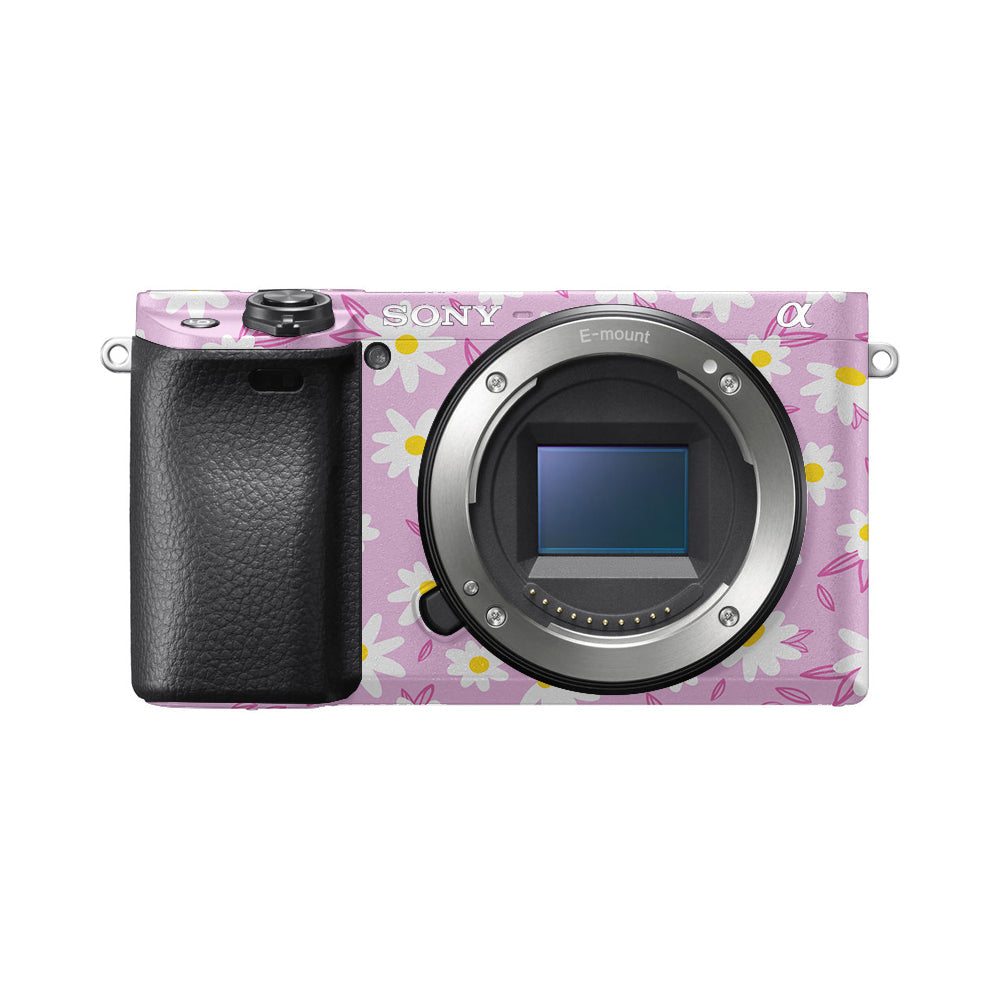 Sony A6000 Skins