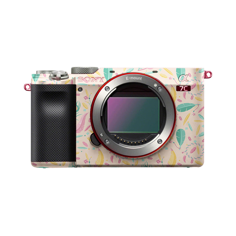Sony A7C Skins