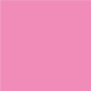 Apple 5C