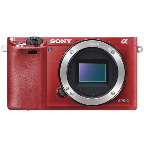 Sony A6000 Skins