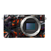 Sony A6300 Skins