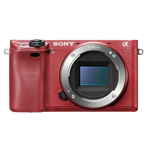 Sony A6300 Skins